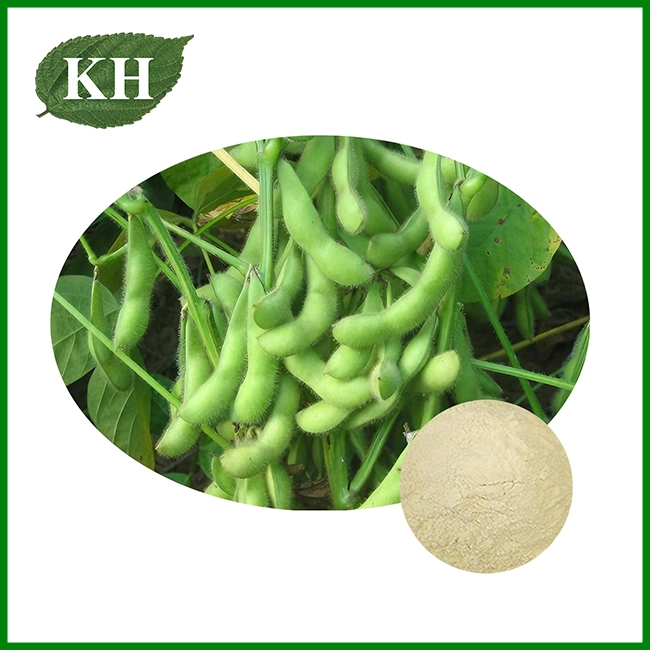 Soybean Extract Soybean Extract